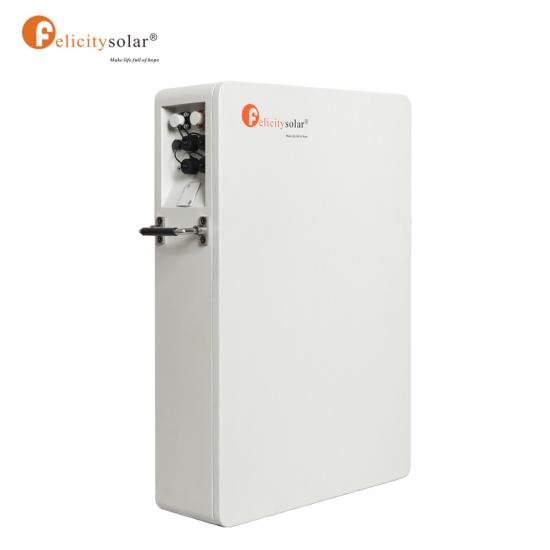 Pursunsys 48v 100ah Energy Storage battery